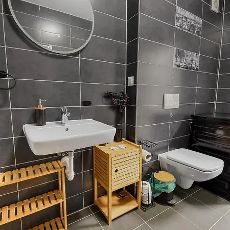 Apartament Toia Studio *